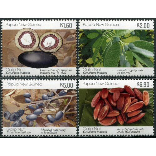 Папуа Новая Гвинея 2019. Канариум индийский (MNH OG) Серия из 4 марок серия марок цейлона 1968г международный год прав человека состояние mnh