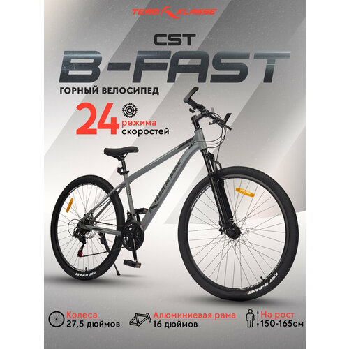 Горный взроaслый велосипед Team Klasse B-4-F светло-серый диаметр колес 275 дюймов 20299₽