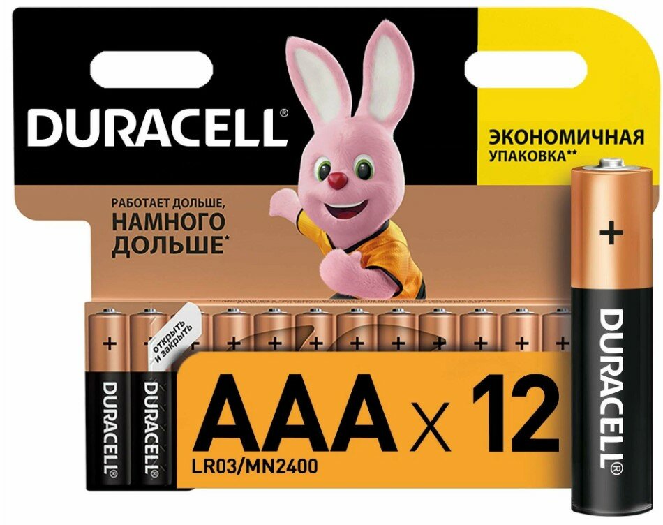 Батарейка Duracell Basic AAA, в упаковке: 12 шт.