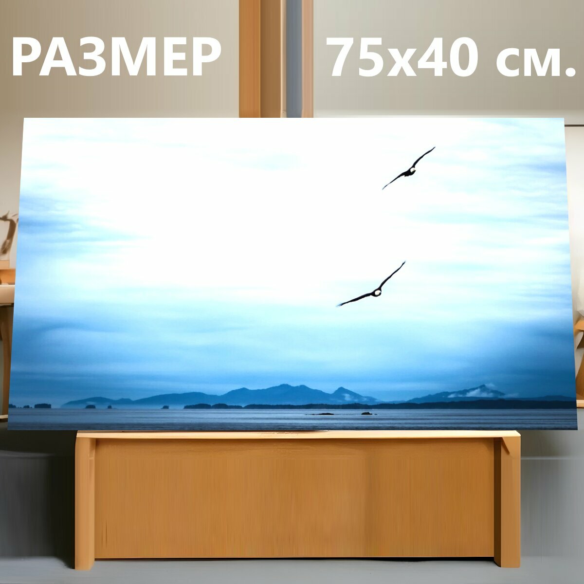 Картина на холсте "Белоголовый орлан, подход, аляска" на подрамнике 75х40 см. для интерьера
