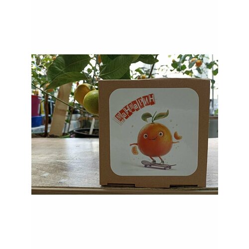 Набор для выращивания 