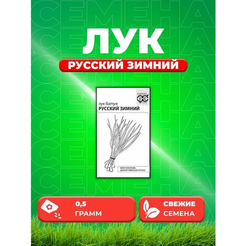 Лук батун Русский зимний 0,5 г б/п с евроотв. лук батун русский зимний 0 5 гр б п