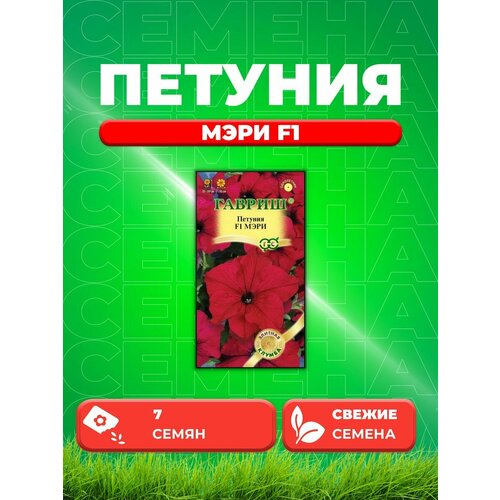 Петуния крупноцветковая Мэри F1, 7шт, Элитная клумба