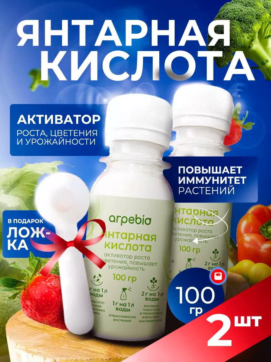 Замачивание черенков в растворе янтарной кислоты