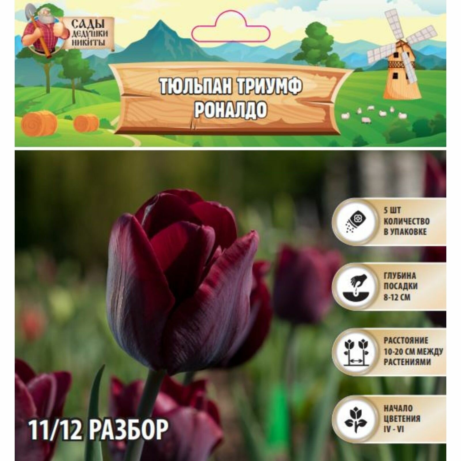 Тюльпан триумф Роналдо р-р 11/12 5 шт