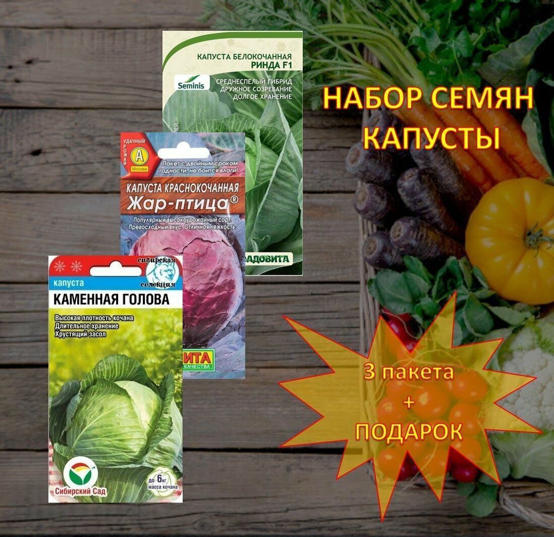 Семена капуста Жар-птица Каменная голова Ринда