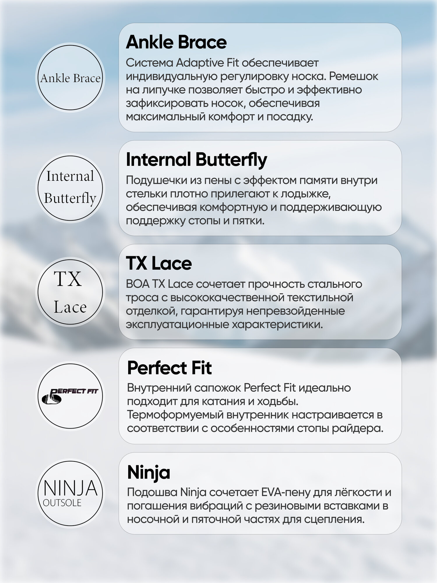 Ботинки сноубордические мужские HEAD QUANTOS BOA Focus — фото 1