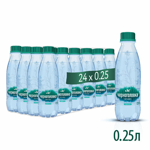 Вода питьевая черноголовка вкусная артезианская газированная, 24 шт по 0,25 л, ПЭТ