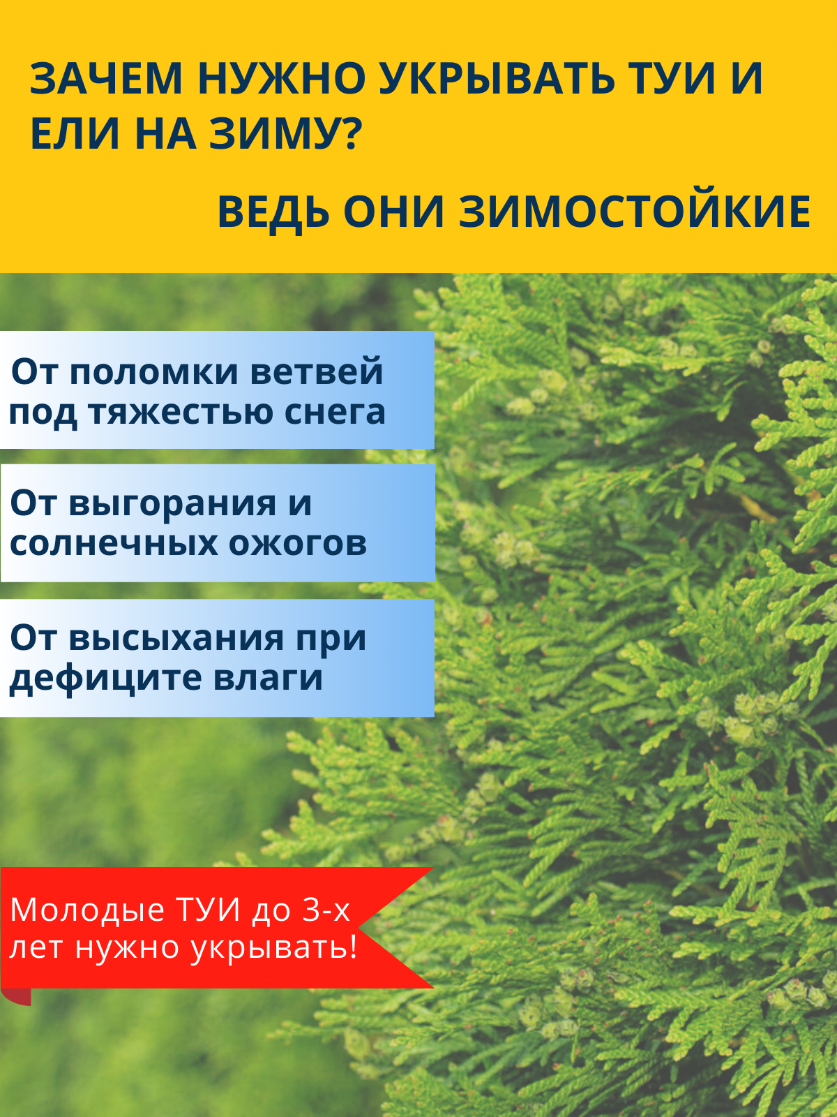 Укрытие для молодых деревьев на зиму Чеховский завод материалов Прекрасный сад 1,2 х 2,0м — фото 13