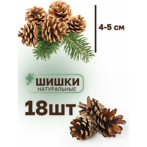 Шишки натуральные 18шт (4-5см)