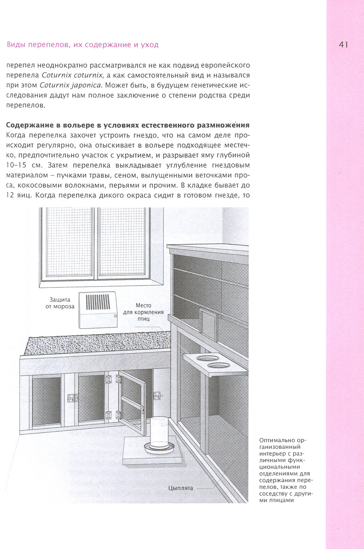 Перепела. Полное руководство по уходу, содержанию и разведению - фото №2
