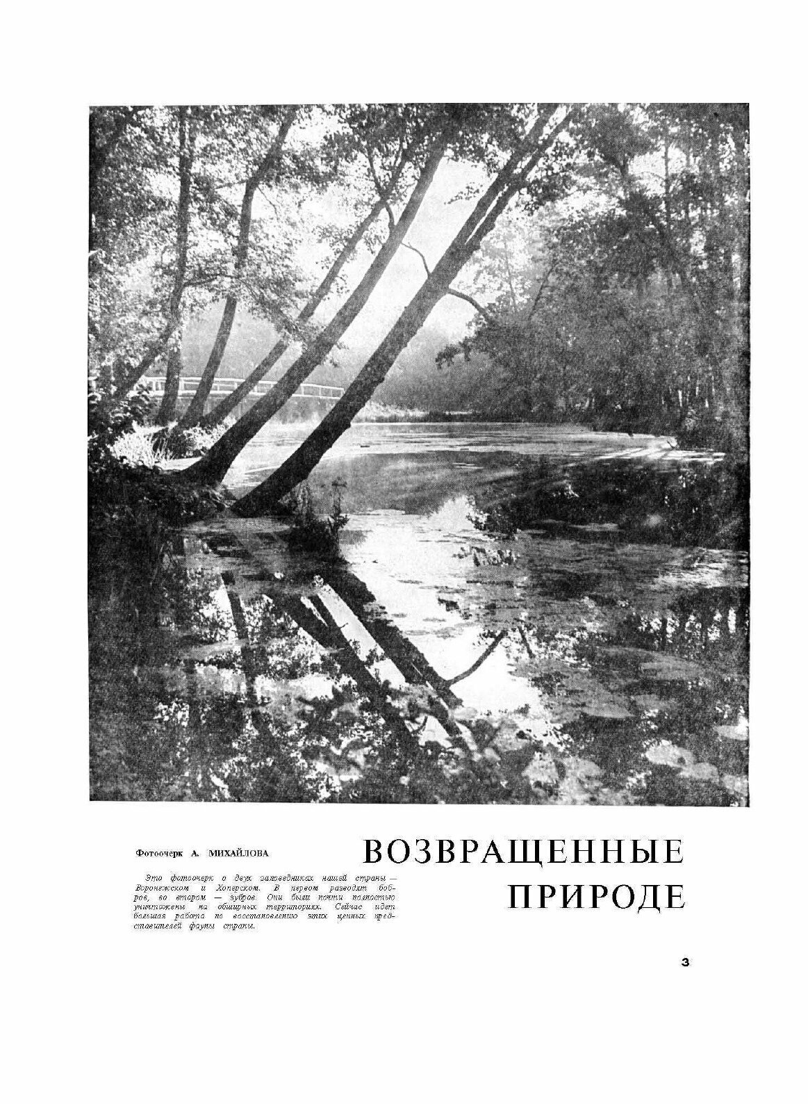 Журнал "Вокруг Света". №12, декабрь 1963 - фото №3