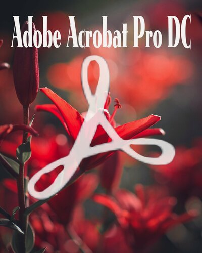 Изображение товара Adobe Acrobat PRO DC