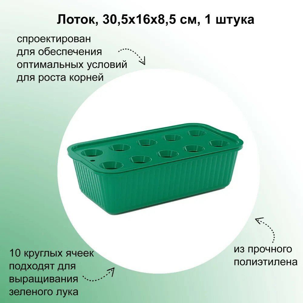 Лоток 305х16х85 см 2 штуки: из прочного полиэтилена; внутри 10 круглых ячеек; прекрасно подходит для выращивания зеленого лука