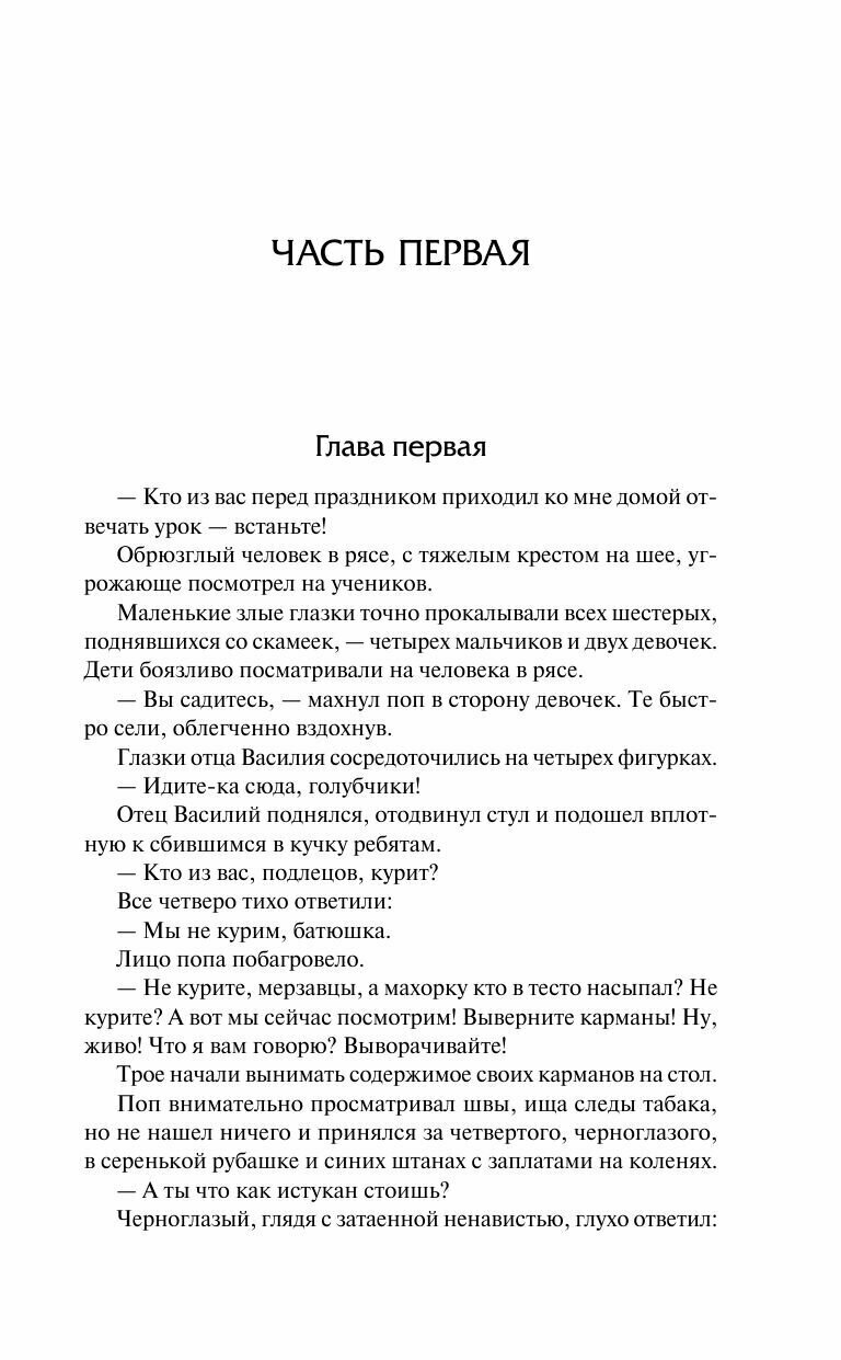 Как закалялась сталь (Островский Николай Алексеевич) - фото №6