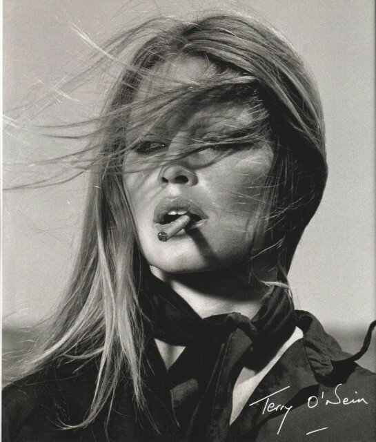 Terry O'Neill. The Opus (O'Neill Terry) - фото №1