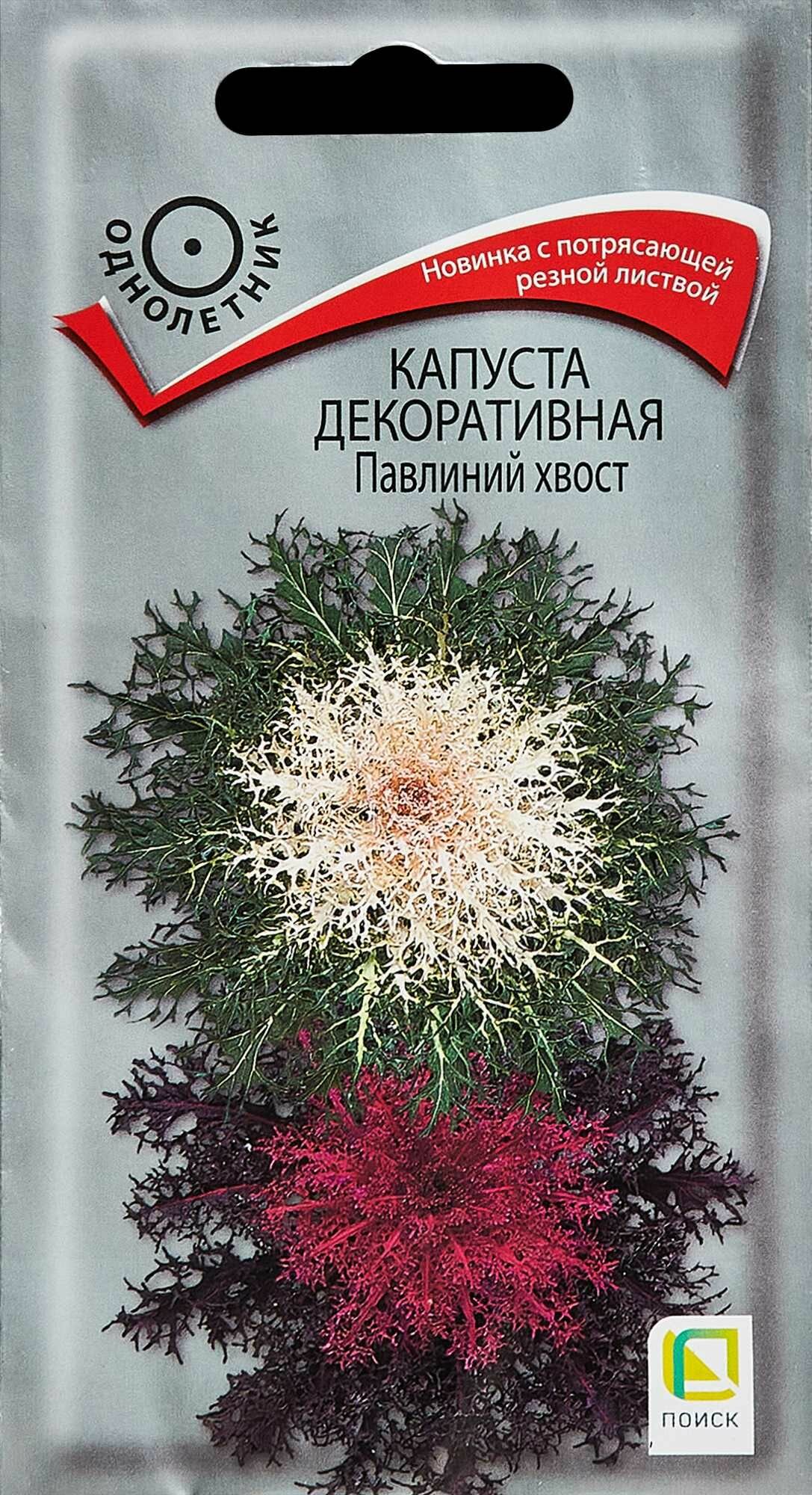 Семена цветов капуста декоративная "Павлиний хвост 7 шт."