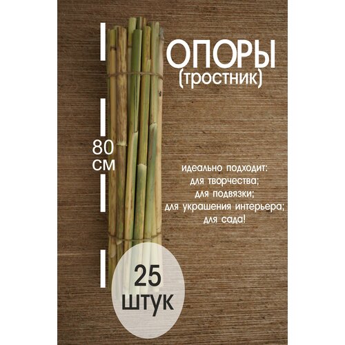 Природный материал. Опора, колышки для растений (тростник) 25шт. высота 80см. палки тростника для уюта интерьера.