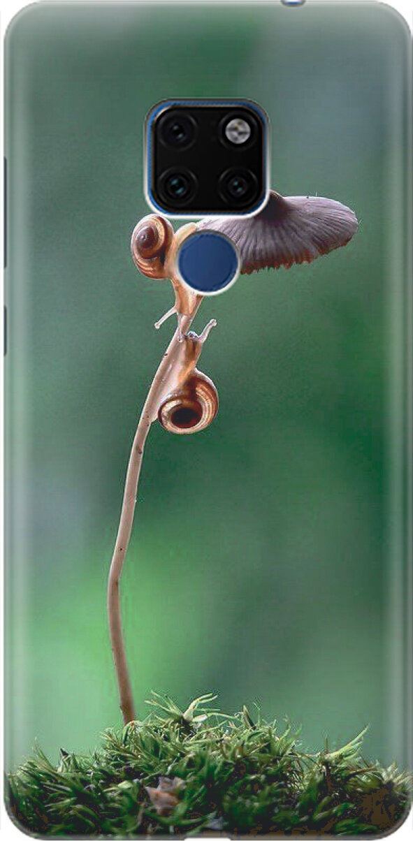 Силиконовый чехол на Huawei Mate 20, Хуавей Мейт 20 с принтом "Две улитки"