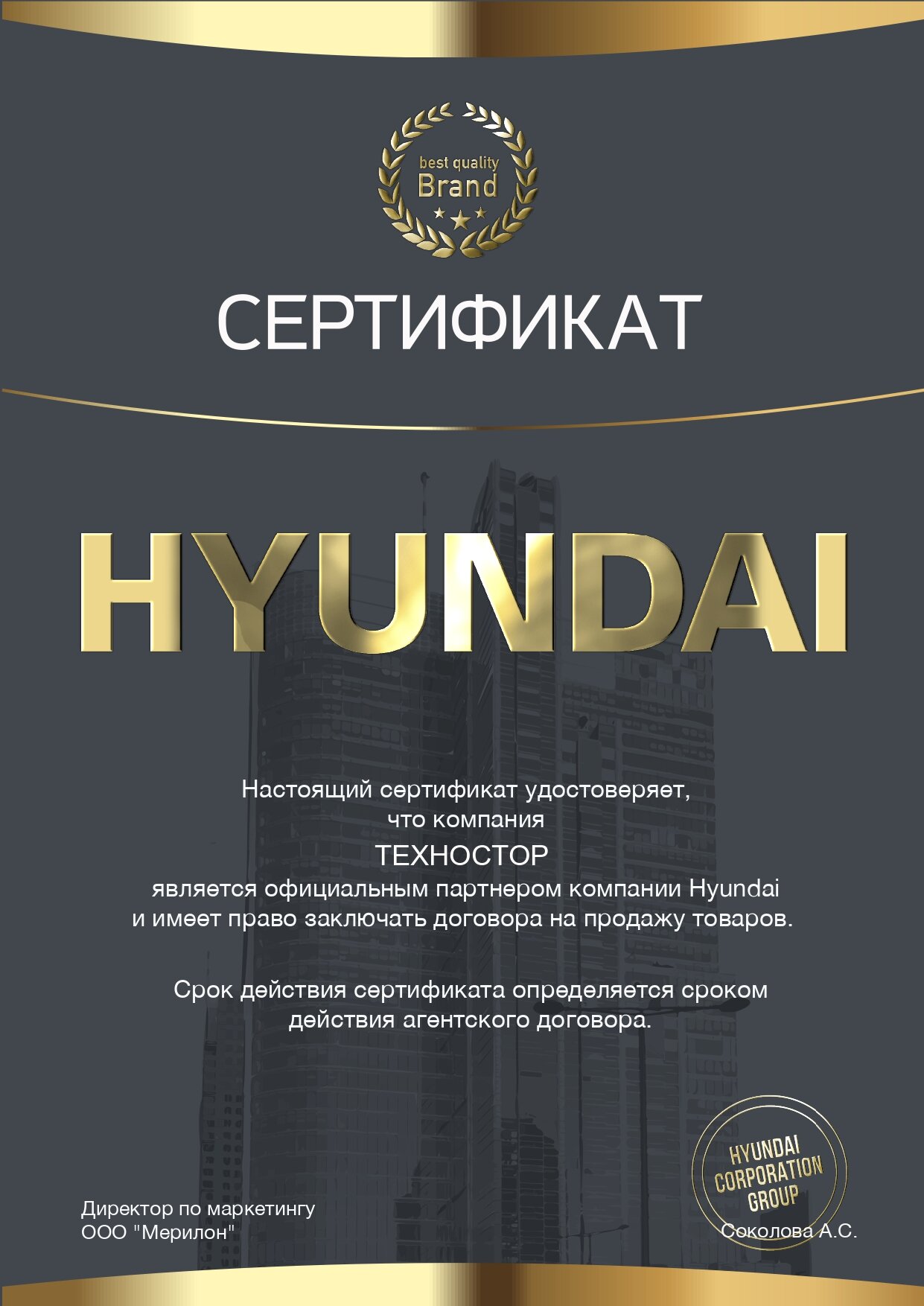 Мотопомпа бензиновая Hyundai - фото №18