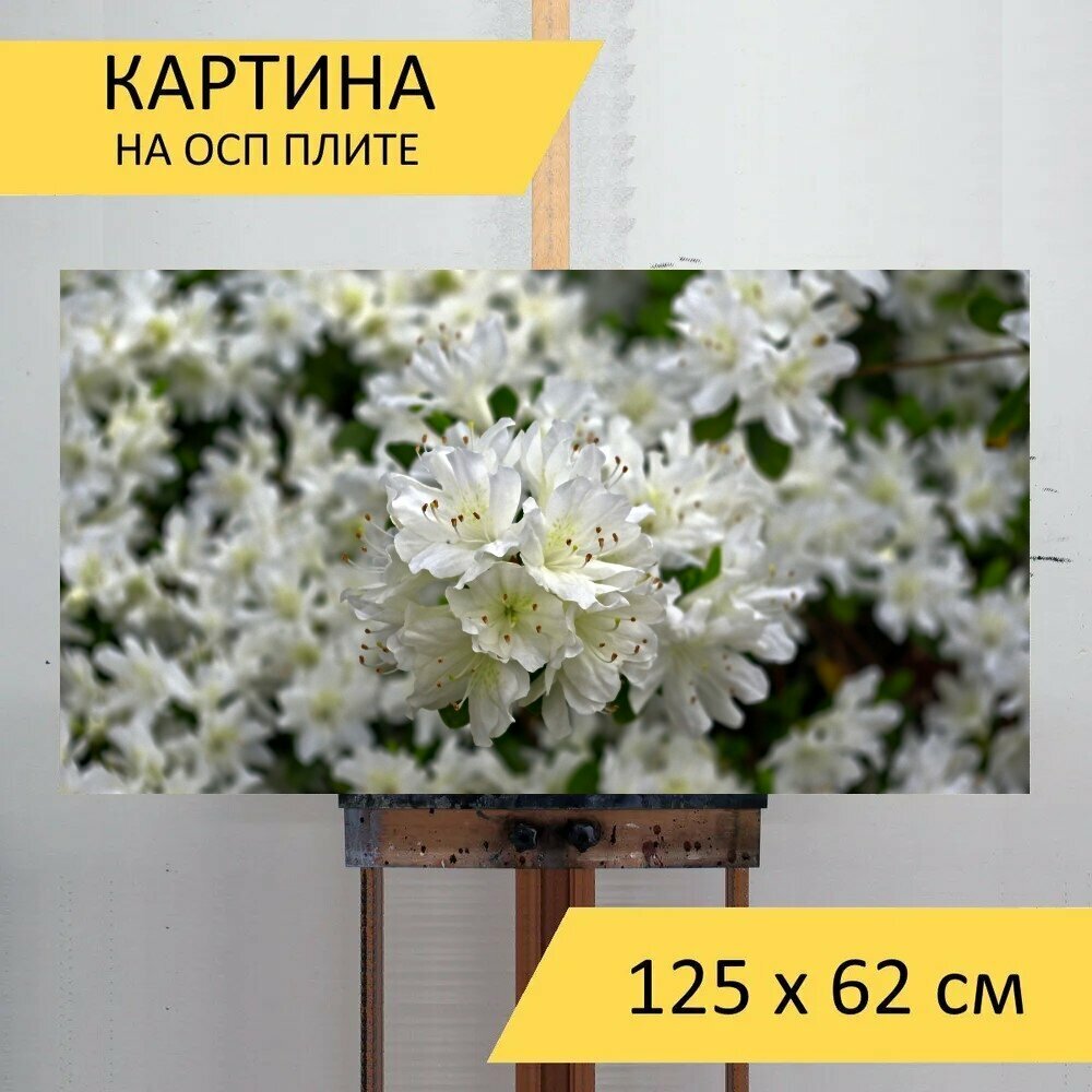 Картина на ОСП 125х62 см. 