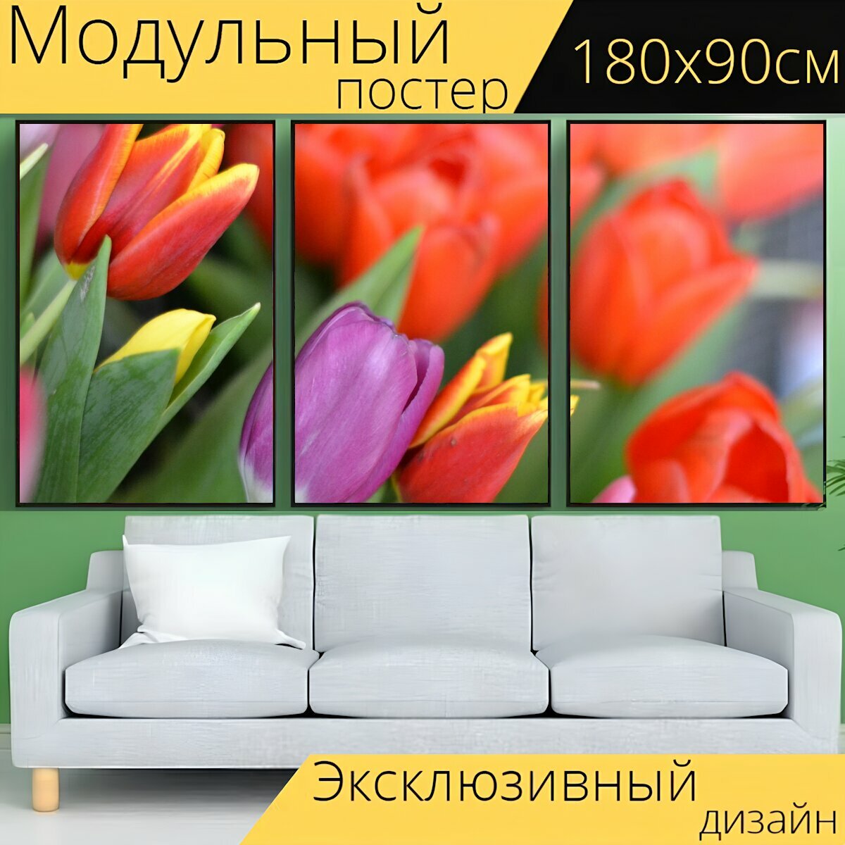 Модульный постер "Тюльпаны, цветы, весна" 180 x 90 см. для интерьера