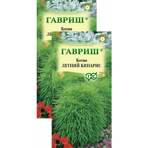 Кохия Летний кипарис (0,3 г), 2 пакета семена цветов кохия веничная летний кипарис 0 3 г