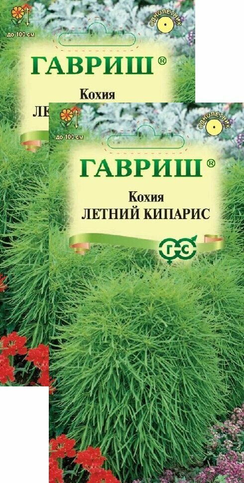 Кохия Летний кипарис (03 г) 2 пакета