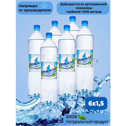 Вода минеральная Омская газированная 1,5 л 6 шт