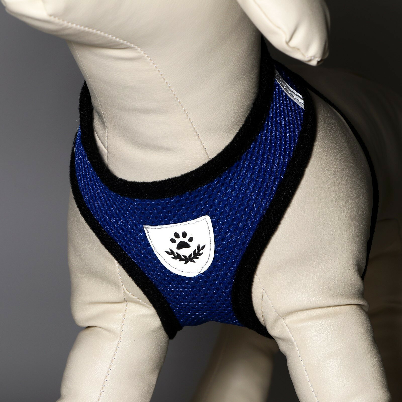 Картинки Комплект амуниции с мягкой шлейкой и светоотражающей нашивкой, M, ОШ 26, ОГ 36-44, синий