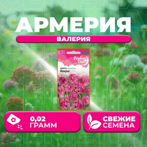 Армерия Валерия, 0,02г, Гавриш, Розовые сны (1 уп) изюмченко валерия дмитриевна южные сны