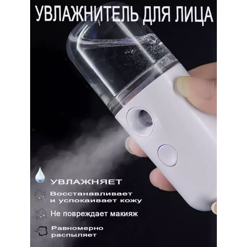 Портативный мини-увлажнитель для лица и тела LEMIL 74900₽