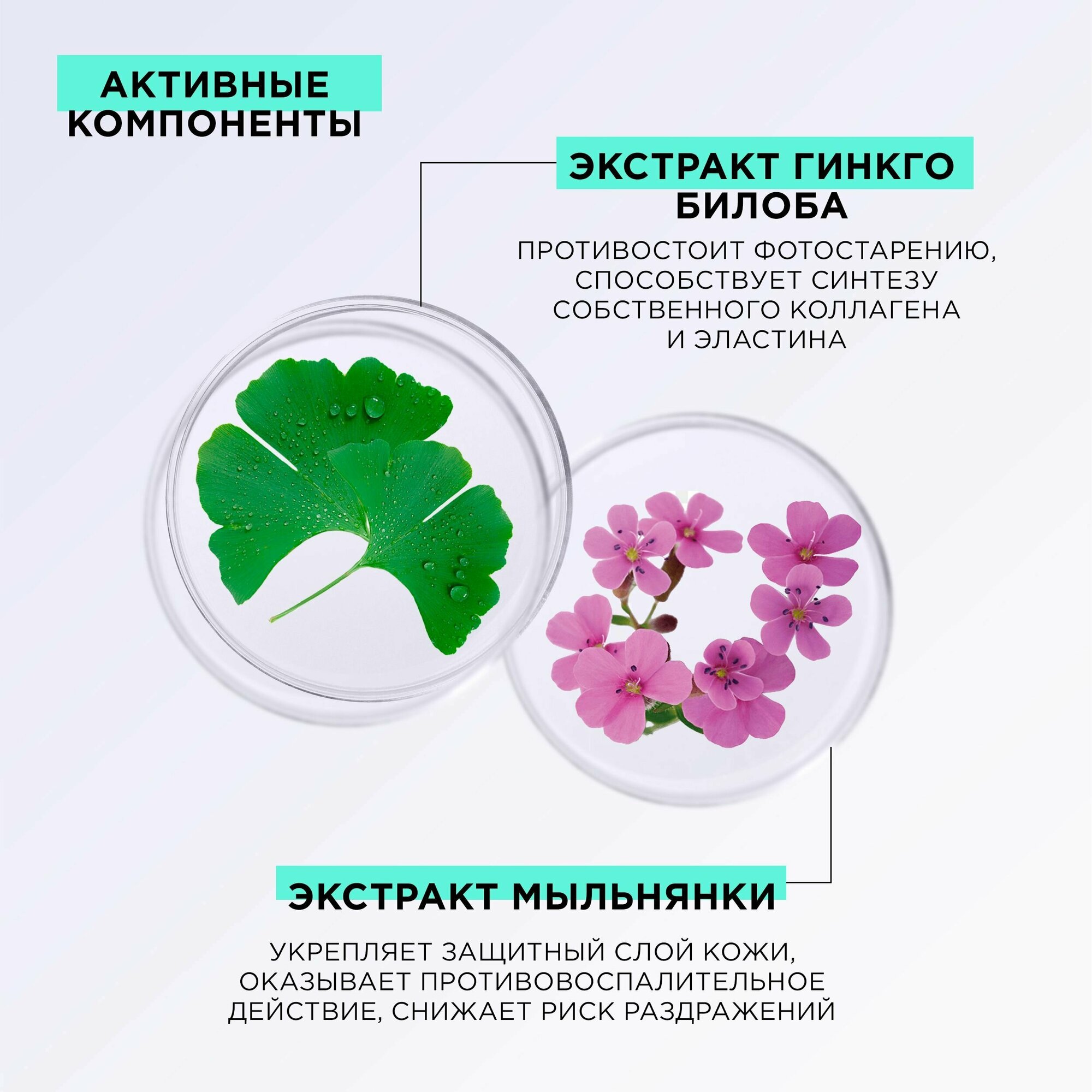 MIXIT Косметический набор парфюмированных гелей для душа с натуральными экстрактами JUST SHOWER