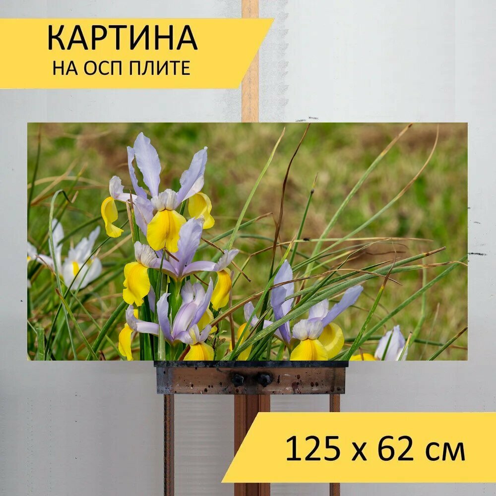 Картина на ОСП 125х62 см. 