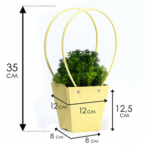 Сумка для цветов тиснение шампань влагостойкая 12x12-8x8-125 см10 шт 1427₽