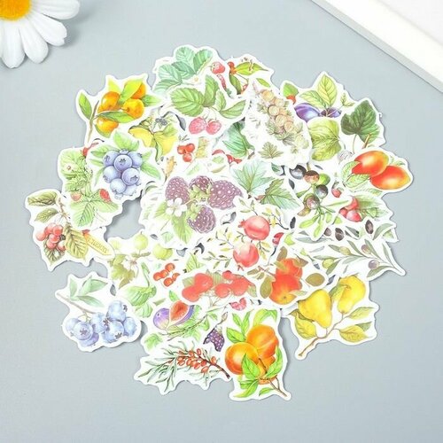 Наклейки для творчества Фруктовый сад набор 50 шт 45х65х11 см 650₽