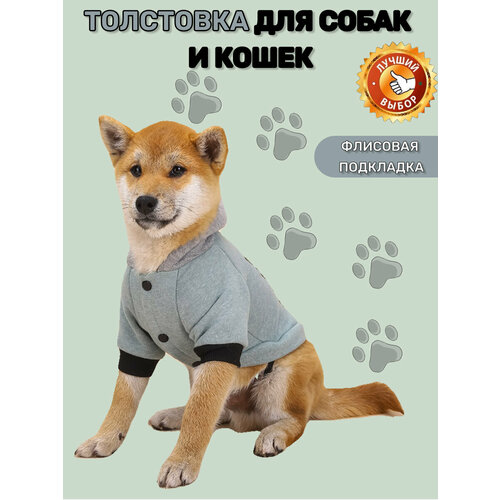 Толстовка для собак мелких, средних и крупных пород, кошек, котов. Худи для собак и кошек. Кофта. Одежда для животных. Светло-зеленый-Размер-M