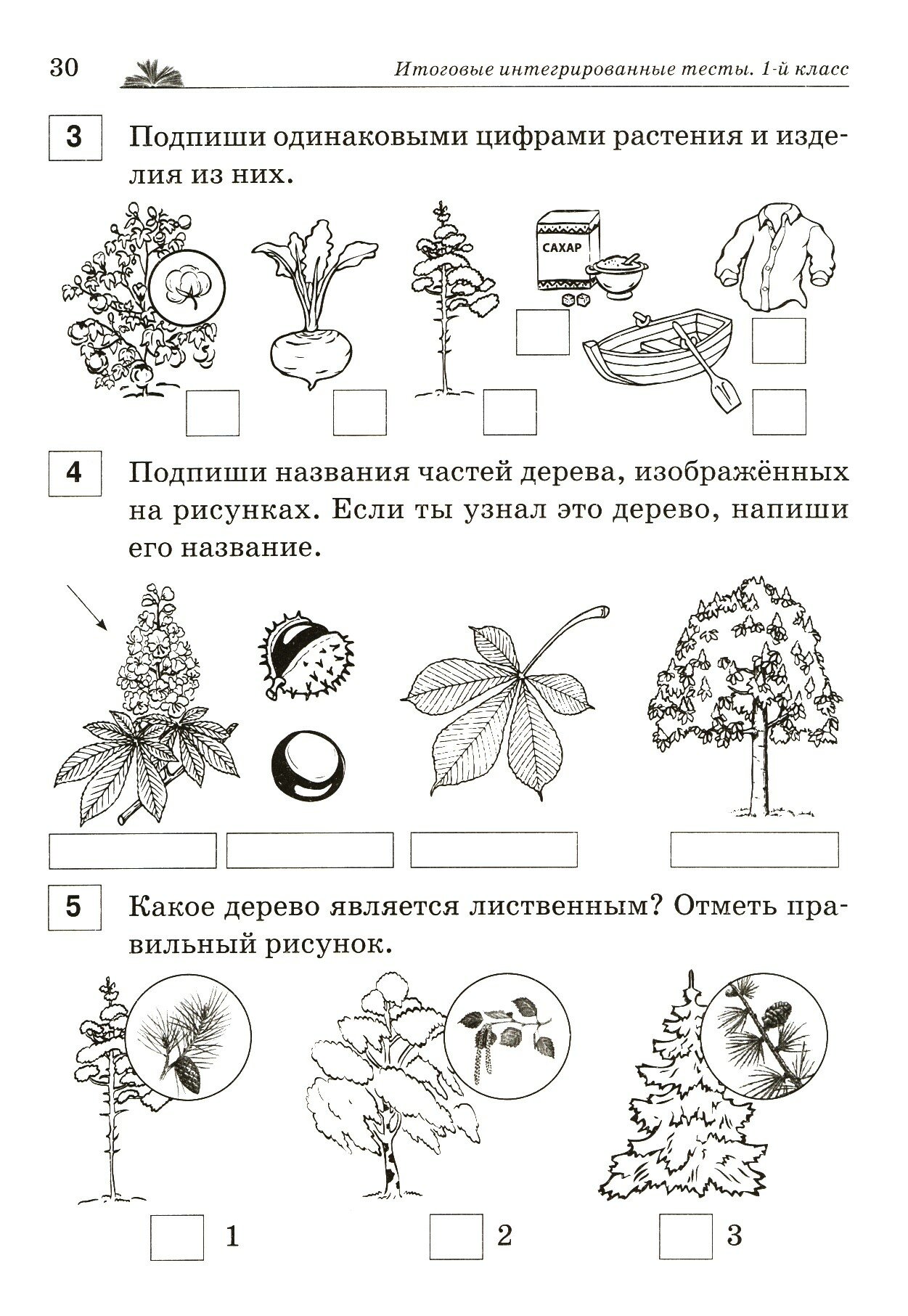 Итоговые интегрированные тесты. 1 кл. Рус. язык, литературное чтение, математика, окружающ.мир. - фото №2