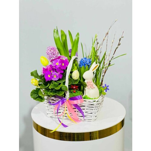 Весенняя композиция / Весенние первоцветы / Верба живая