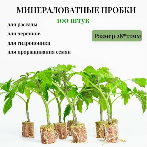 Минеральные пробки для рассады, укоренения черенков, проращивания семян , гидропоники 100шт 22*28мм