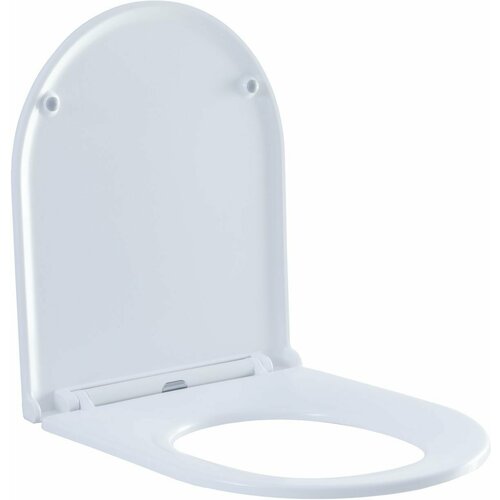 Сиденье для унитаза Aquanet Lake белый 21474836₽