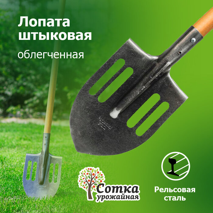 фото Лопата садовая штыковая ЛКО рельсовая сталь `Урожайная сотка` облегченная с деревянным черенком