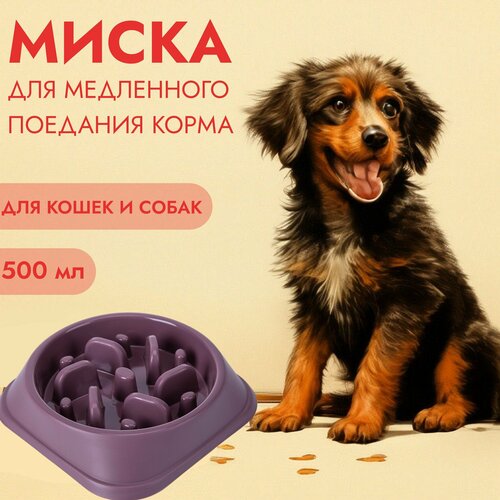 Миска для медленного поедания корма, для кошек и собак petstages миска медленного поедания для кошек