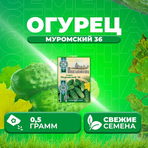 Огурец Муромский 36, 0,5г, Гавриш, Монастырский огород (1 уп)