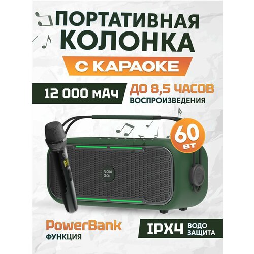 Портативная Bluetooth-колонка с Караоке микрофоном NowGo C2K Karaoke C2K Karaoke Global Green 1699900₽