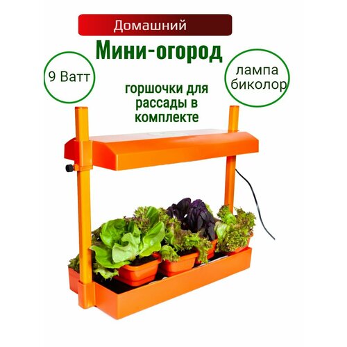 Домашний мини-огород с фитолампой аэросад hobbyfarm mini домашний умный смарт сад 3 ячейки с фитолампой dq6200 la