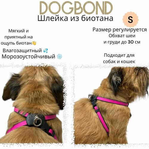 Шлейка Dogbond 