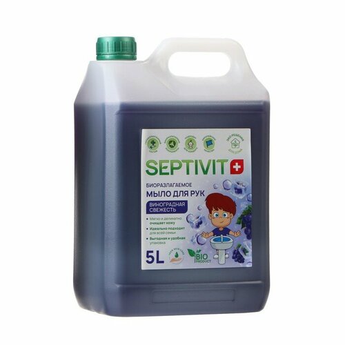 Жидкое мыло SEPTIVIT Виноградная свежесть, 5 л средство для пола septivit сода 5 л