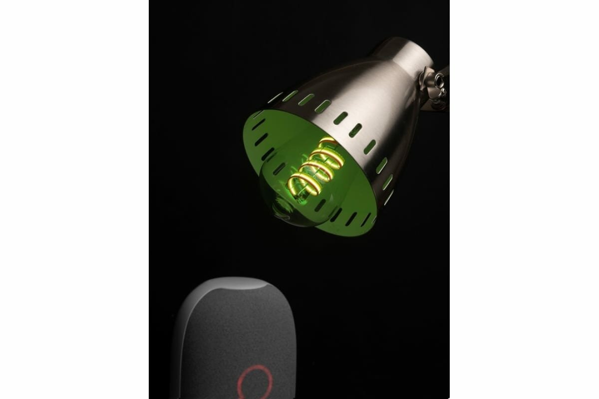 Лампа EKF филаментная RGBE27 ST64 - фото №13