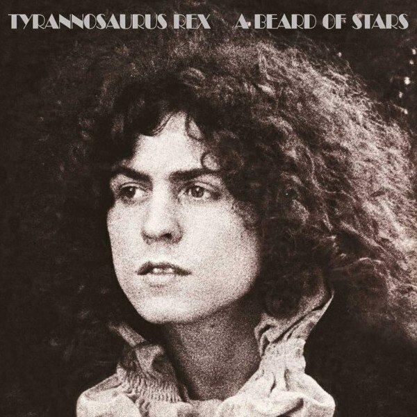 Компакт-диск Warner T. Rex – A Beard Of Stars